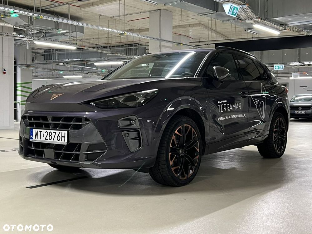 Cupra Terramar - 11