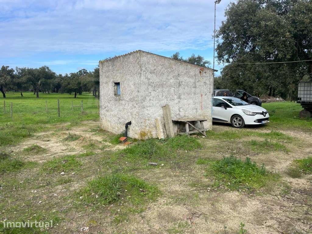 Propriedade Rústica com 11 Hectares junto a Canhestros - Grande imagem: 5/35