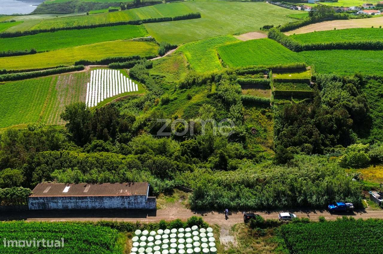 Terreno Rústico, 1/2 de 10.380 m² – Lomba de São Pedro - Grande imagem: 3/15