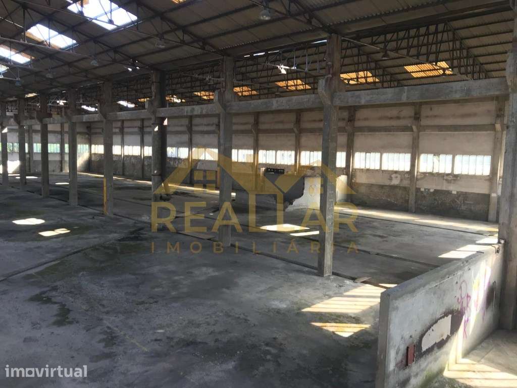Armazém Industrial com Potencial de Expansão - Grande imagem: 5/16
