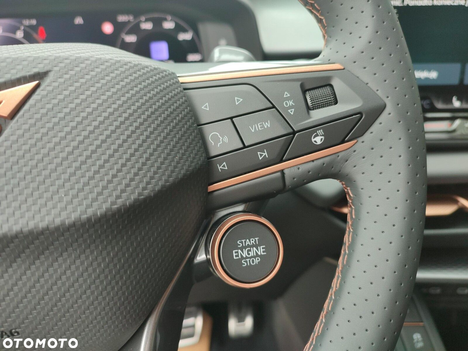 Cupra Terramar - 26