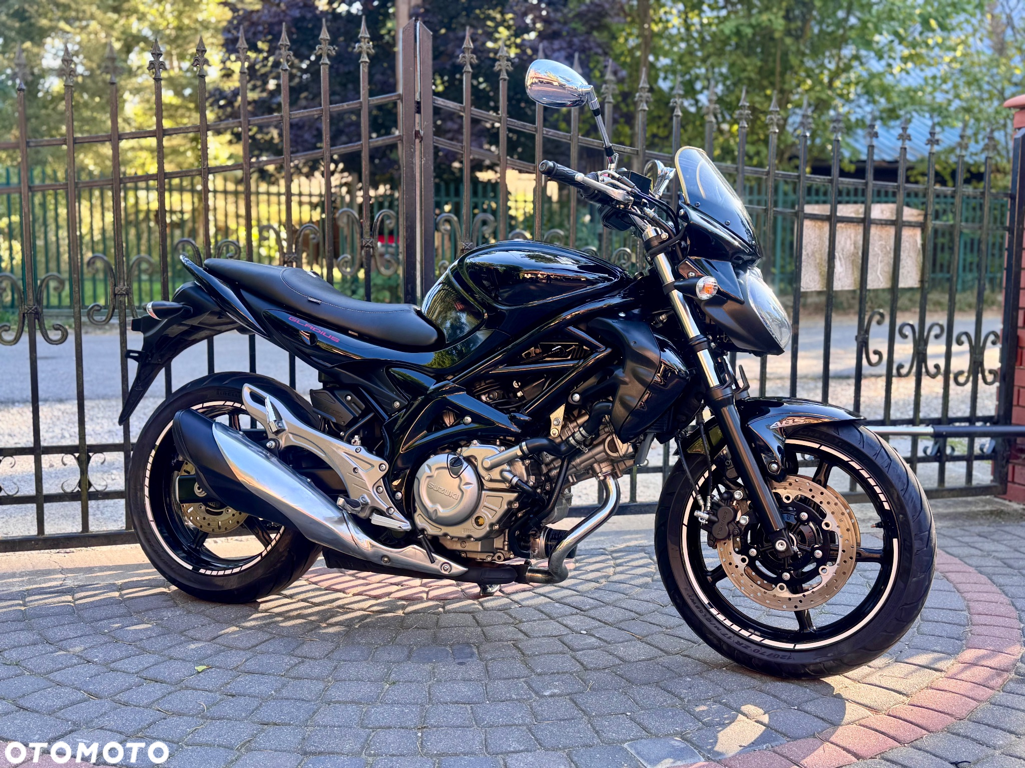 Suzuki Gladius - 2