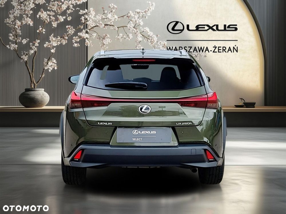 Lexus UX 250h GPF Business 2WD - 6