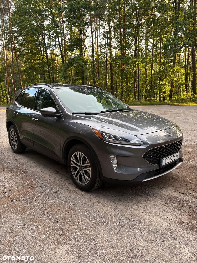 Ford Escape - 3