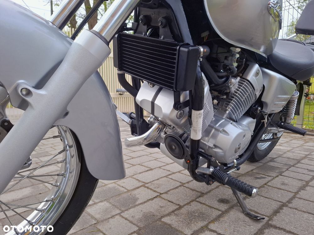 Honda Shadow - 25