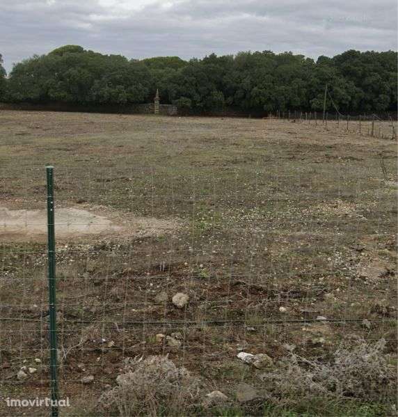 Terreno para arrendamento para estaleiro ou parque - Grande imagem: 3/5