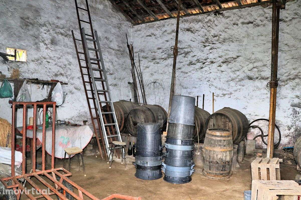 Quinta  para venda - Grande imagem: 3/24