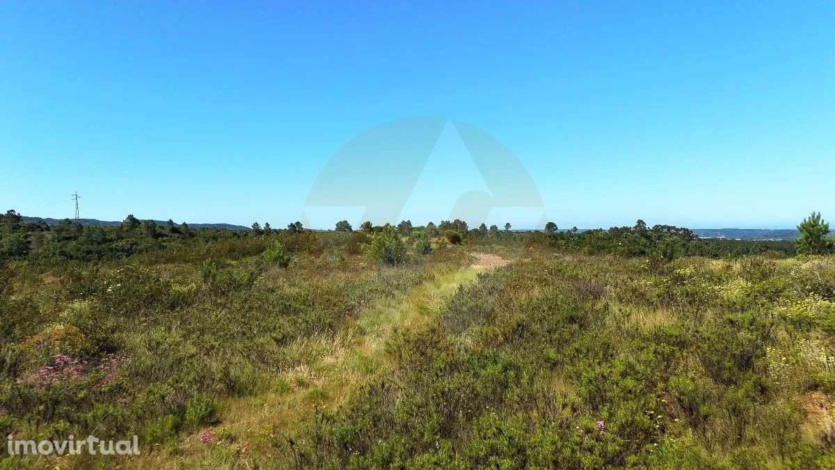 Terreno Serominheiro - Grande imagem: 4/6