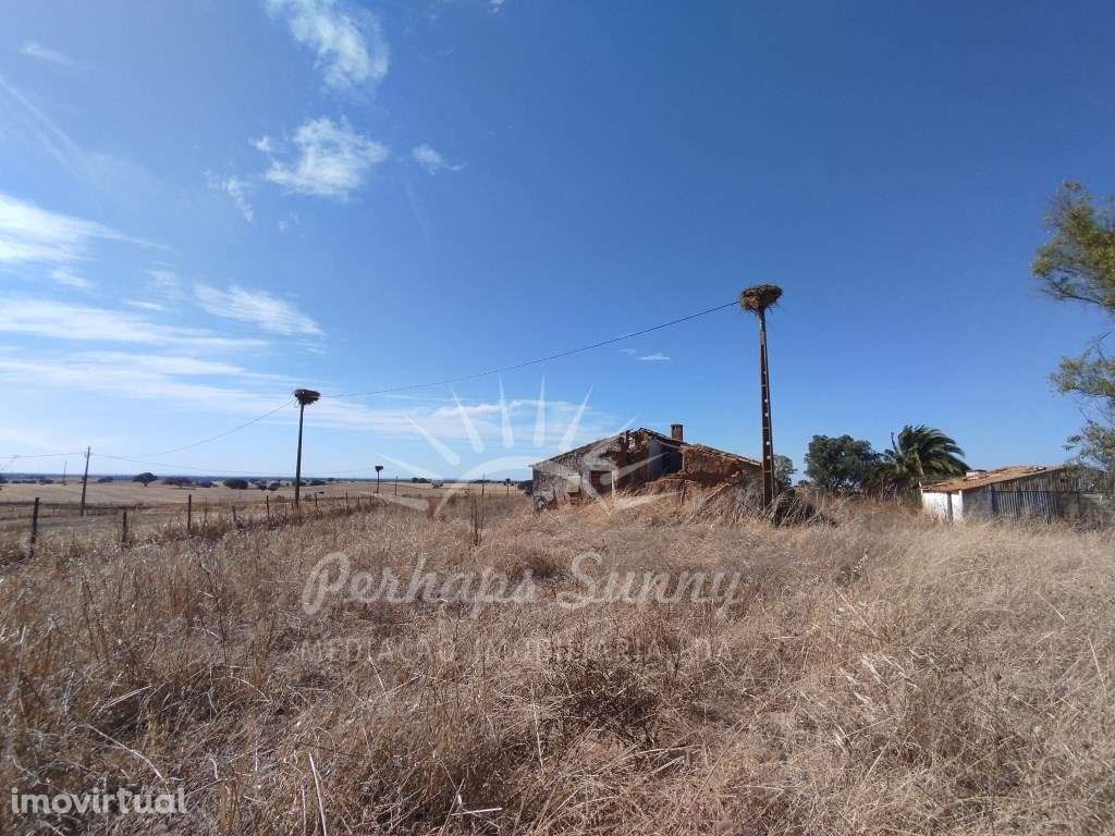 Herdade a 10km de Alvalade do Sado - Grande imagem: 5/43