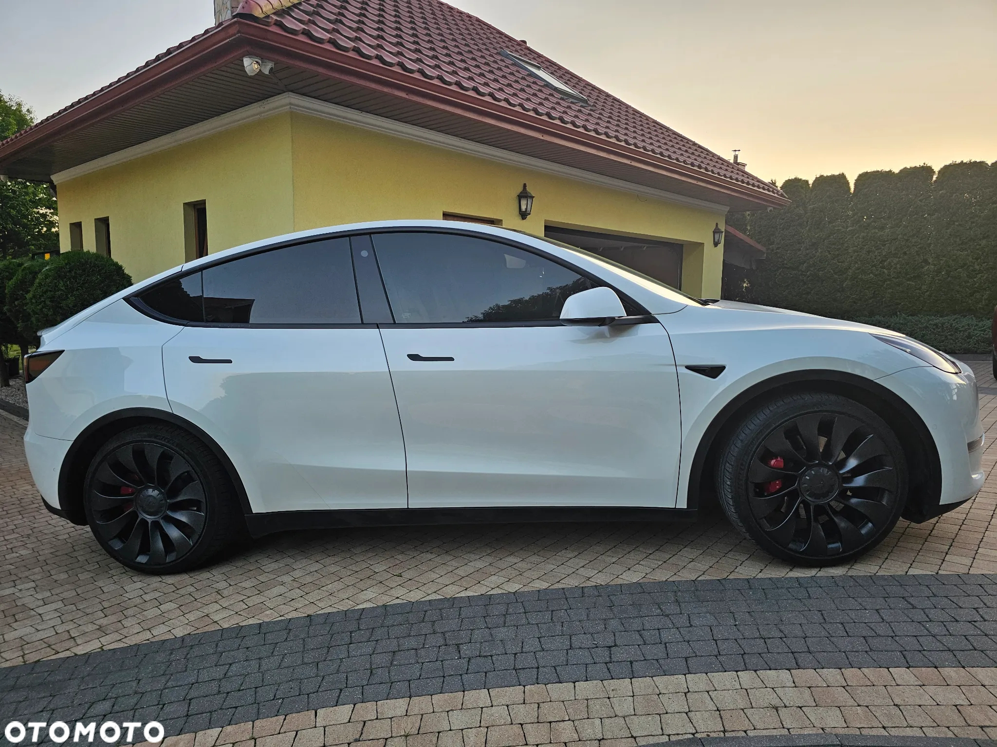 Tesla Y Model Performance Dual Motor AWD - 8