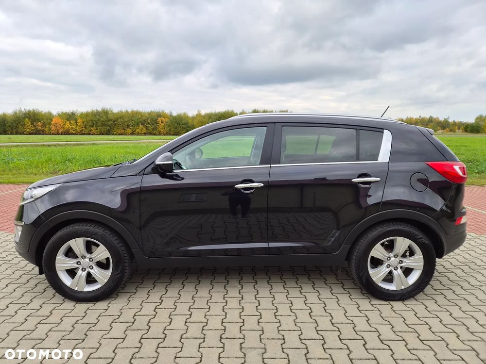 Kia Sportage - 11