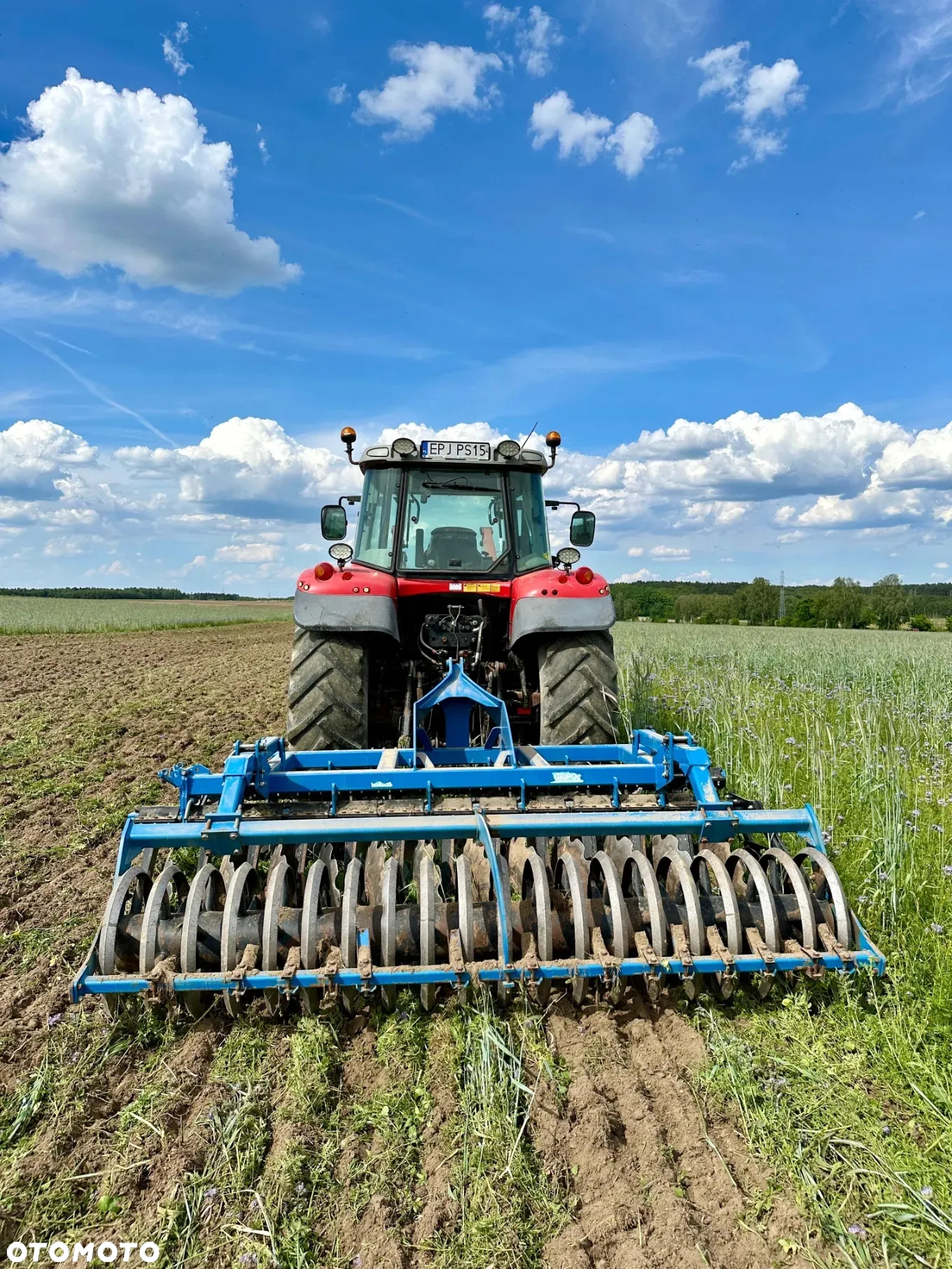 Massey Ferguson 6465 - 28