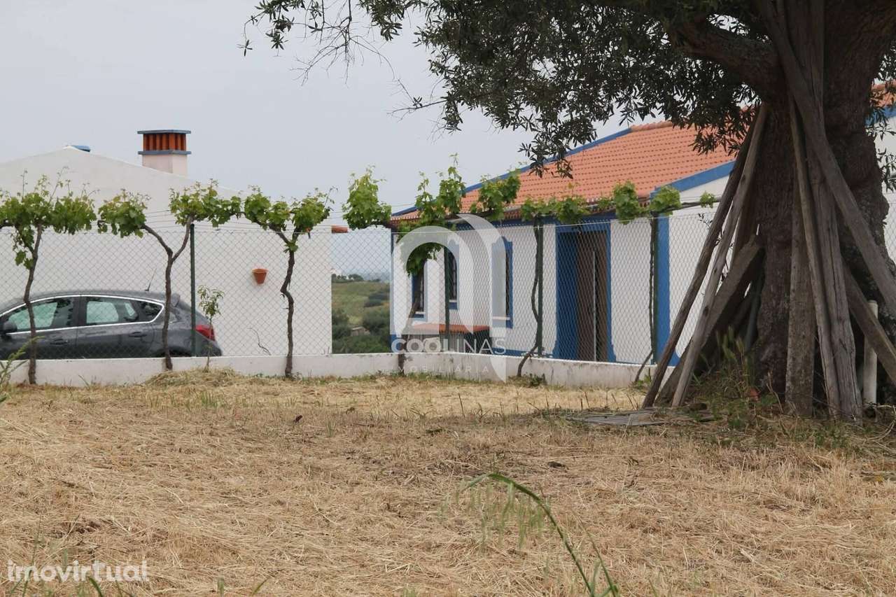 Quinta em Monte Alentejano - Grande imagem: 5/47