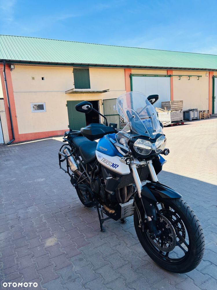 Triumph Tiger - 2