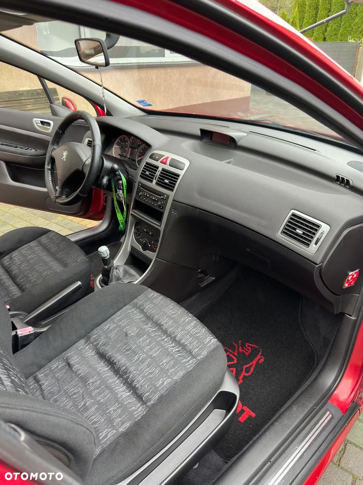 Peugeot 307 1.6 XS - 14