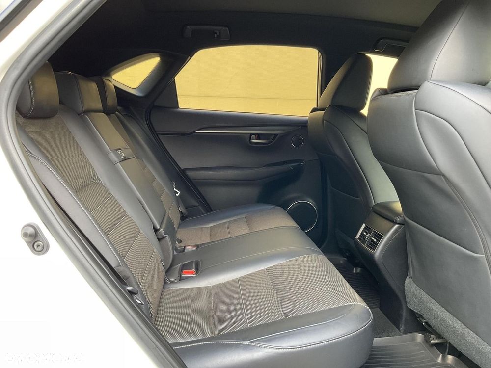 Lexus NX 300h F Sport AWD - 17