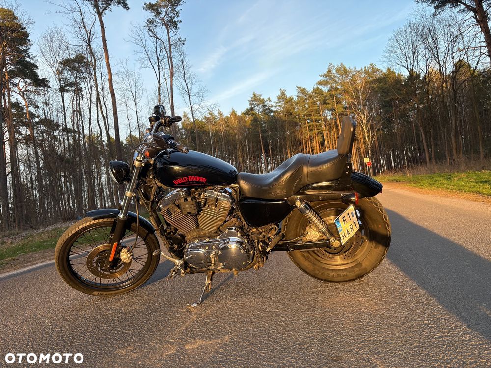 Harley-Davidson Sportster Custom 1200C - 7