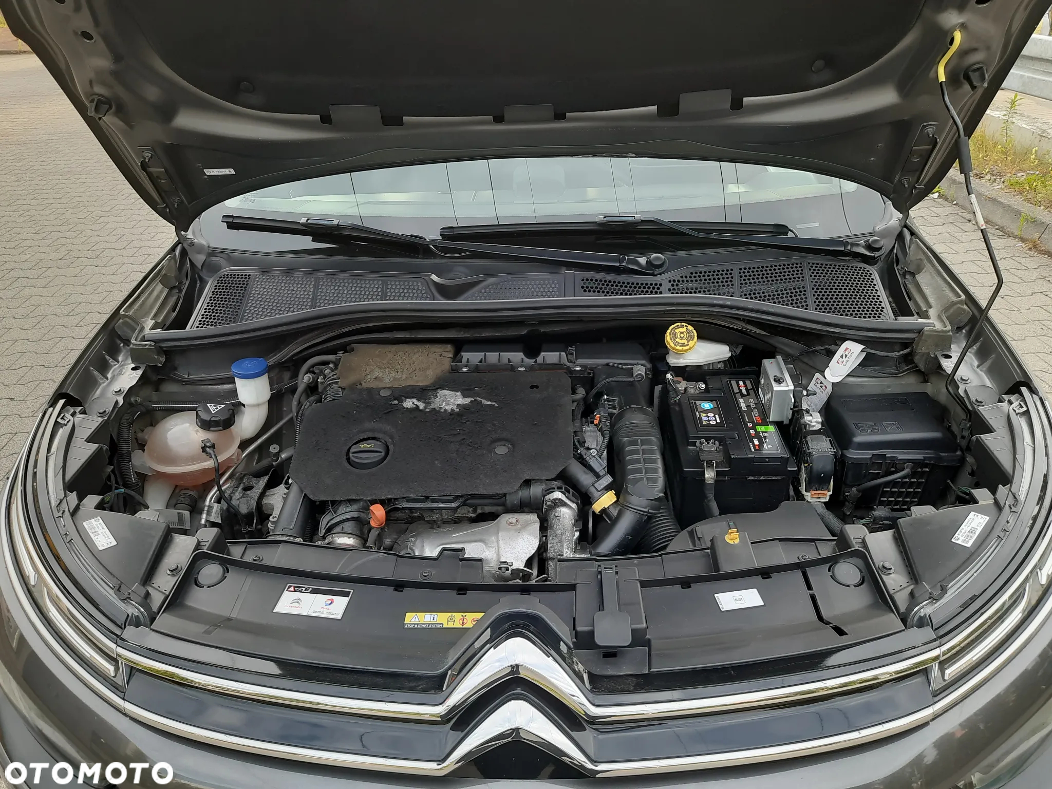Citroën C4 Cactus BlueHDi 120 Stop&Start EAT6 Shine - 25