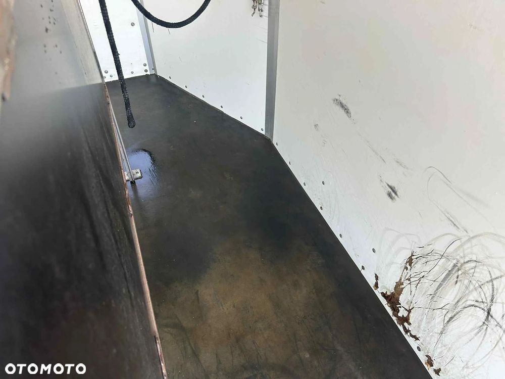 Brenderup 2000 kg do transportu koni 2 konna - 15