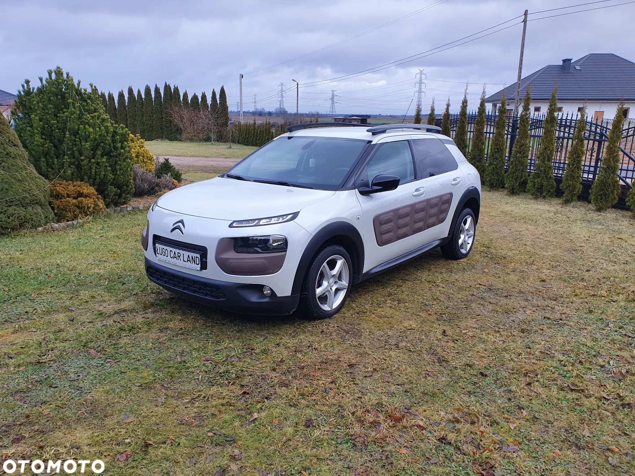 Citroën C4 Cactus 1.2 PureTech Shine S&S - 2