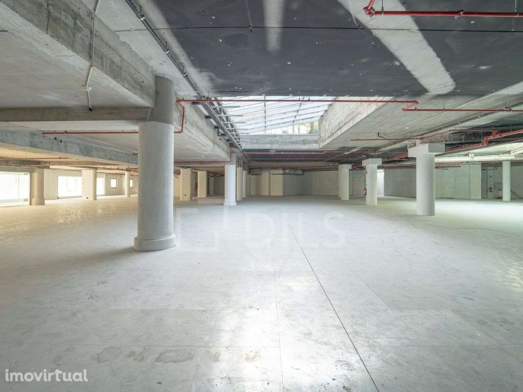 Escritório para arrendar, no edifício Trinity, no Porto - Grande imagem: 4/17