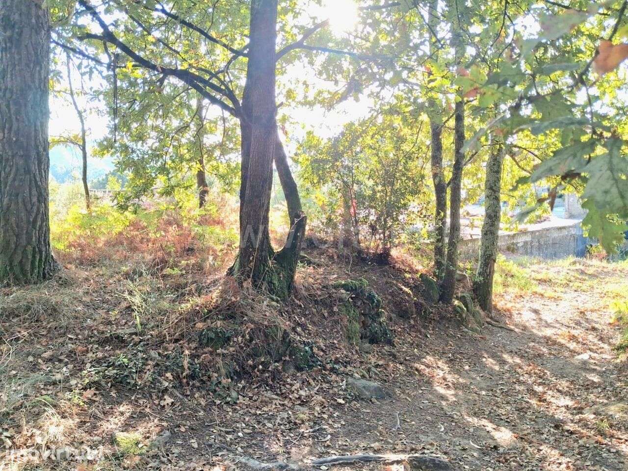 Terreno Rústico / Marco de Canaveses, Vila Boa do Bispo - Grande imagem: 4/6