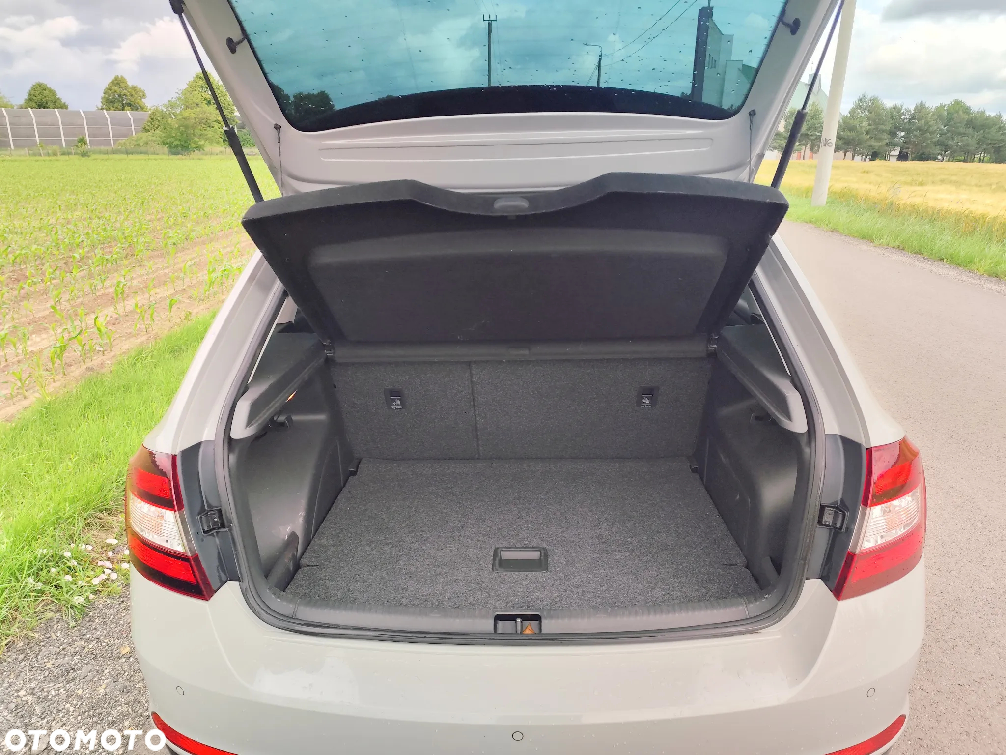 Skoda RAPID Spaceback 1.6 TDI Monte Carlo Green tec - 11