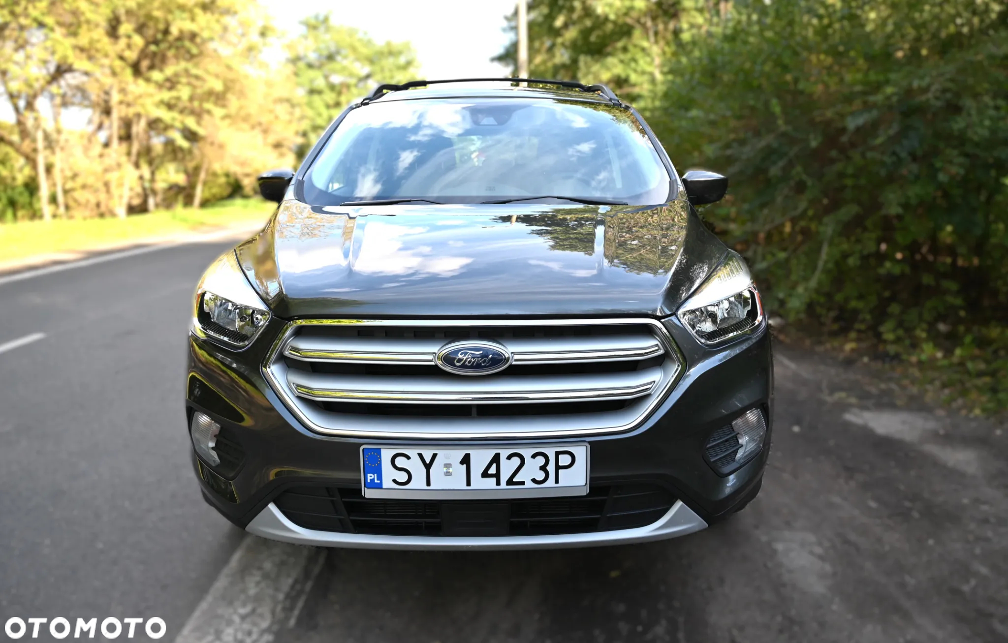 Ford Escape 1.5 EcoBoost AWD SE - 5