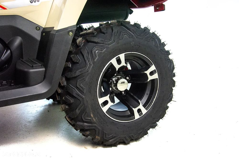 ASIX Challanger 300 - 15