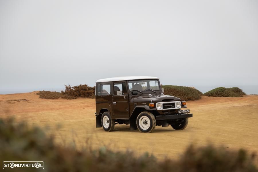 Toyota Land Cruiser - 31