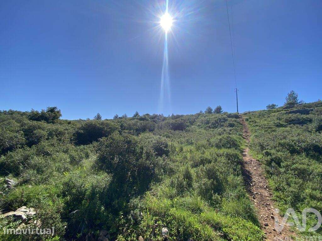 Terreno em Alcabideche de 8920,00 m2 - Grande imagem: 3/17