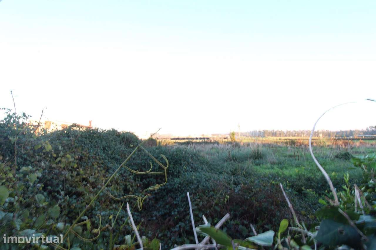 Terreno com 975m2 - Touguinha - Vila do Conde - Grande imagem: 2/4