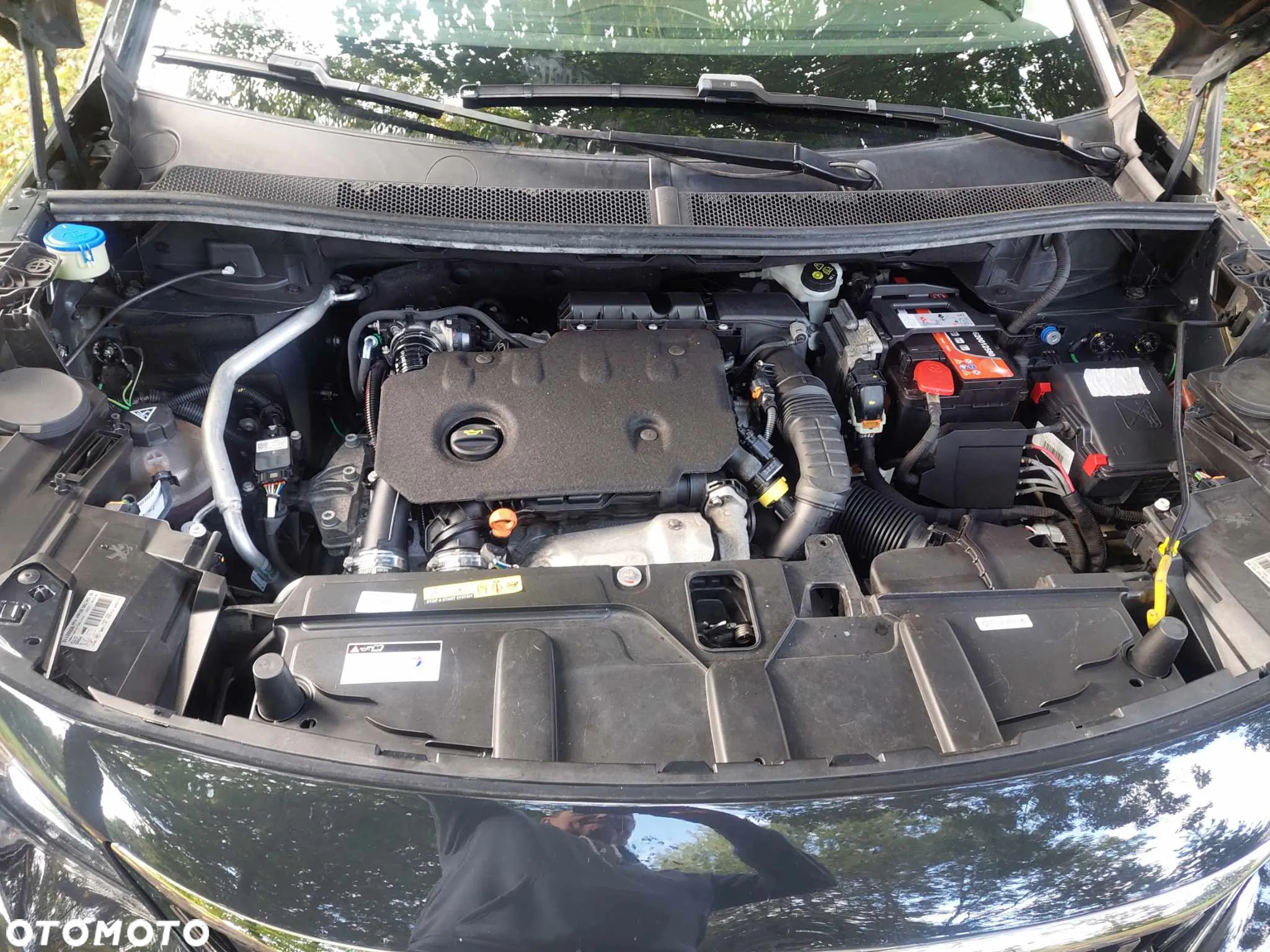Peugeot 3008 1.5 BlueHDi Active S&S EAT8 - 12