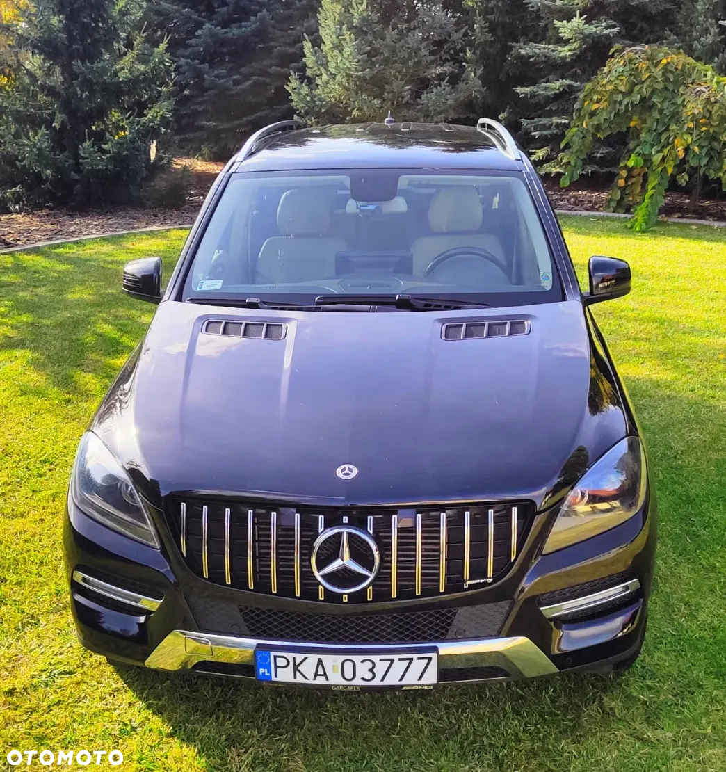 Mercedes-Benz ML 250 BlueTec 4-Matic - 10