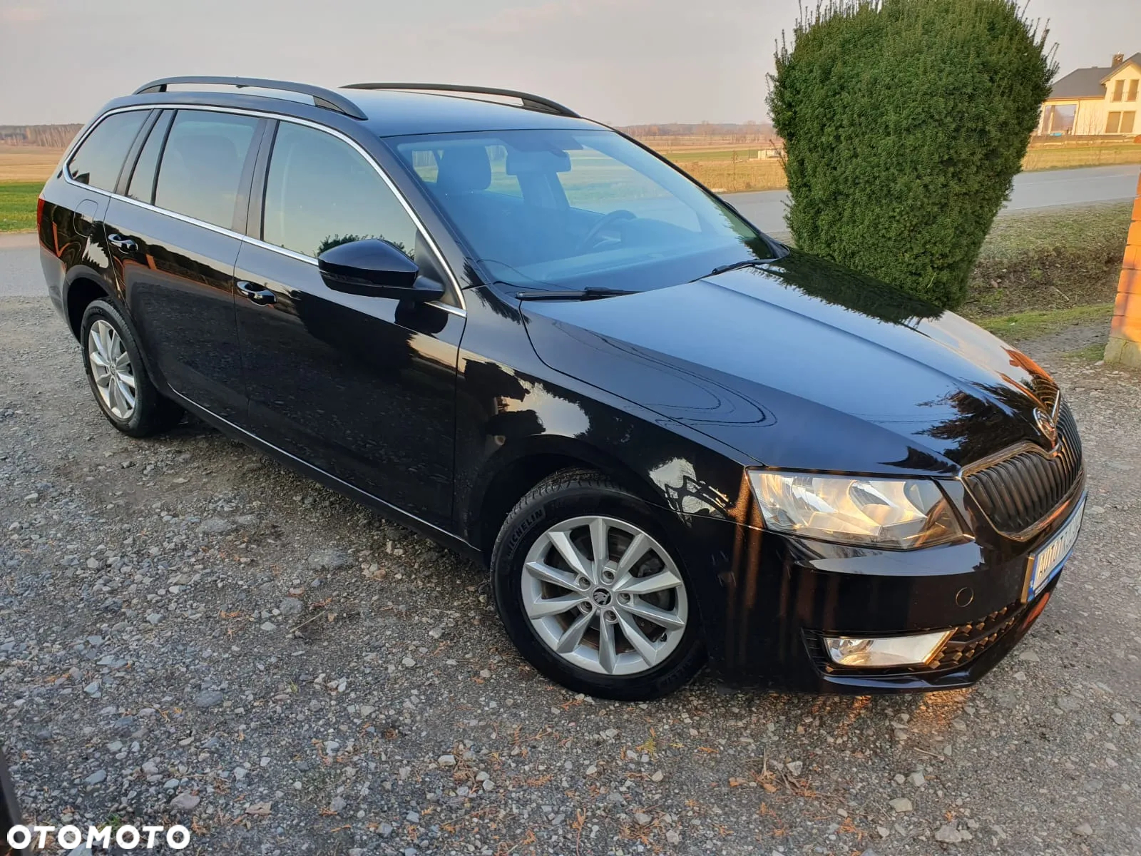 Skoda Octavia 1.6 TDI Classic - 7