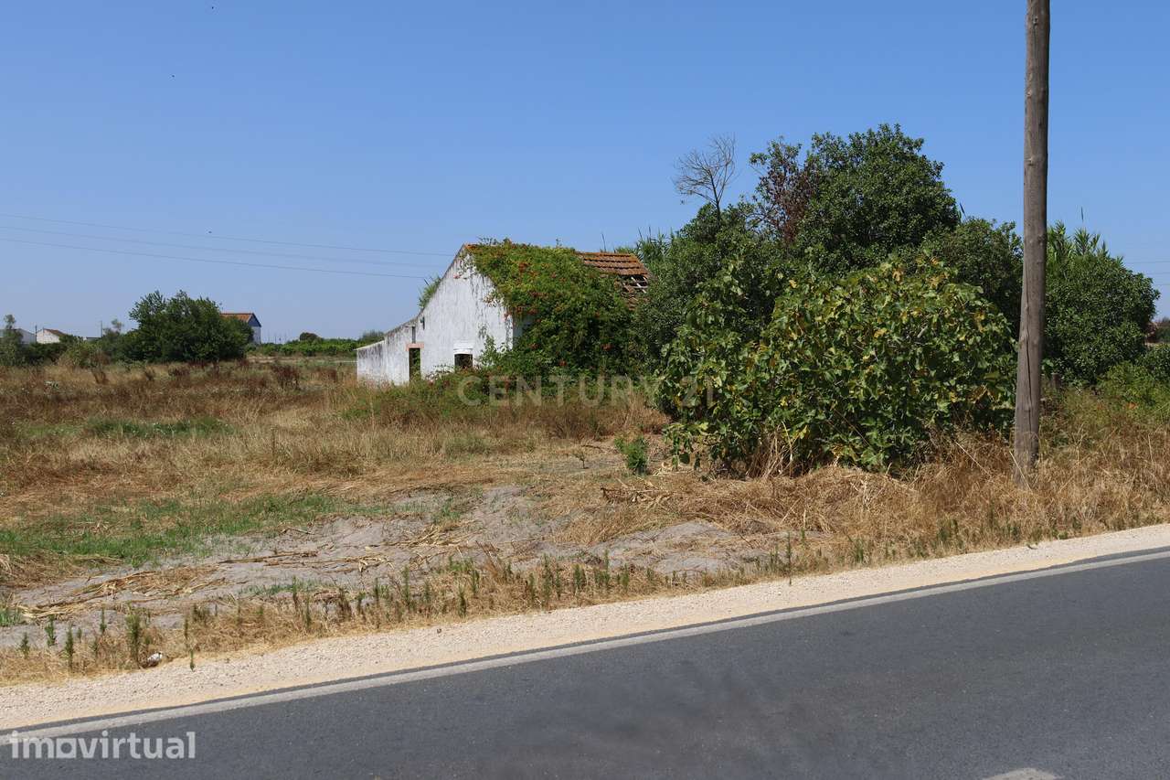 Terreno com casa para recuperação - Grande imagem: 2/27