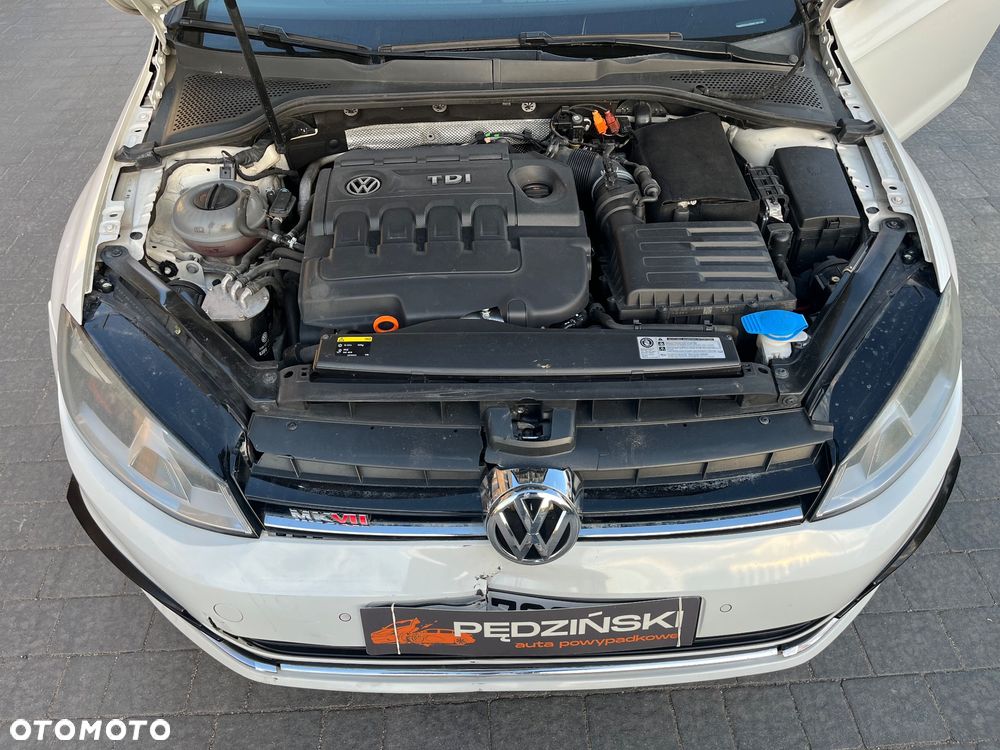Volkswagen Golf - 13