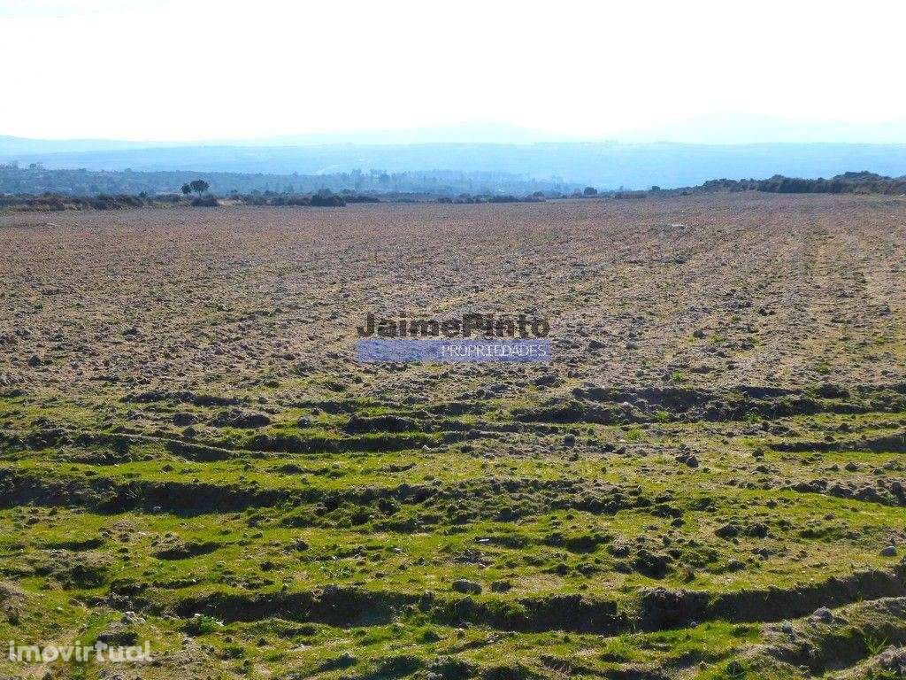 10,9ha de terra plana para plantações. Portugal, F. C. Rodrigo, Bar... - Grande imagem: 3/6