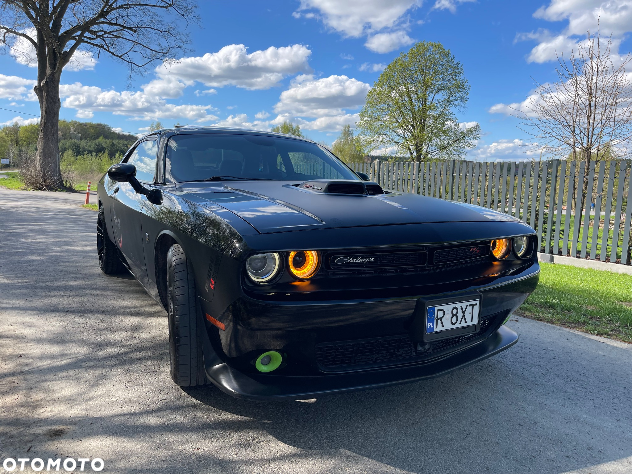Dodge Challenger Automatik 392 Hemi Scat Pack Shaker - 8
