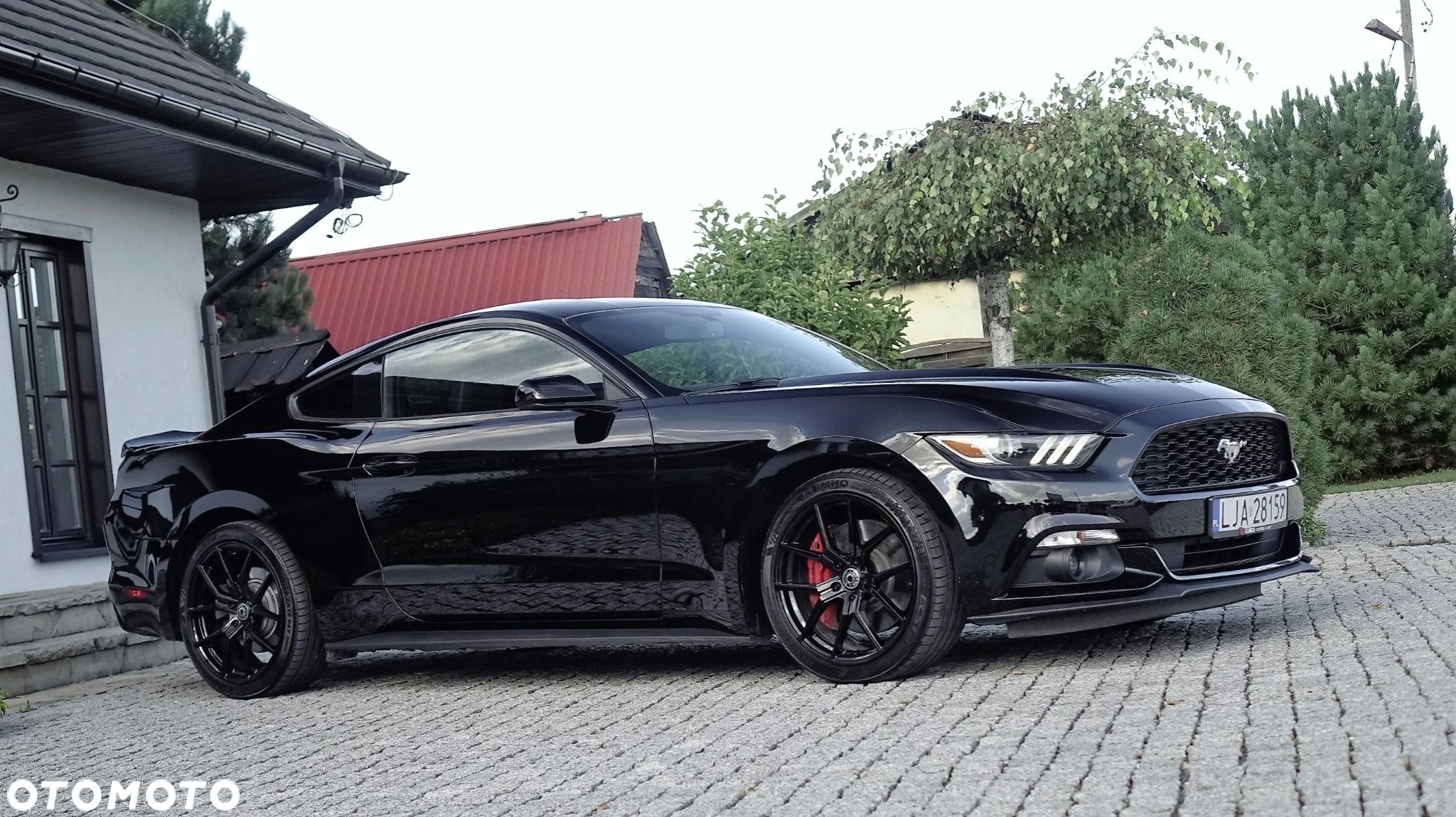Ford Mustang - 19