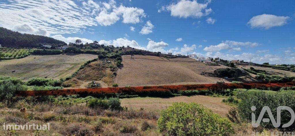 Terreno em Enxara do Bispo, Gradil e Vila Franca do Rosário de 31600,0 - Grande imagem: 3/24