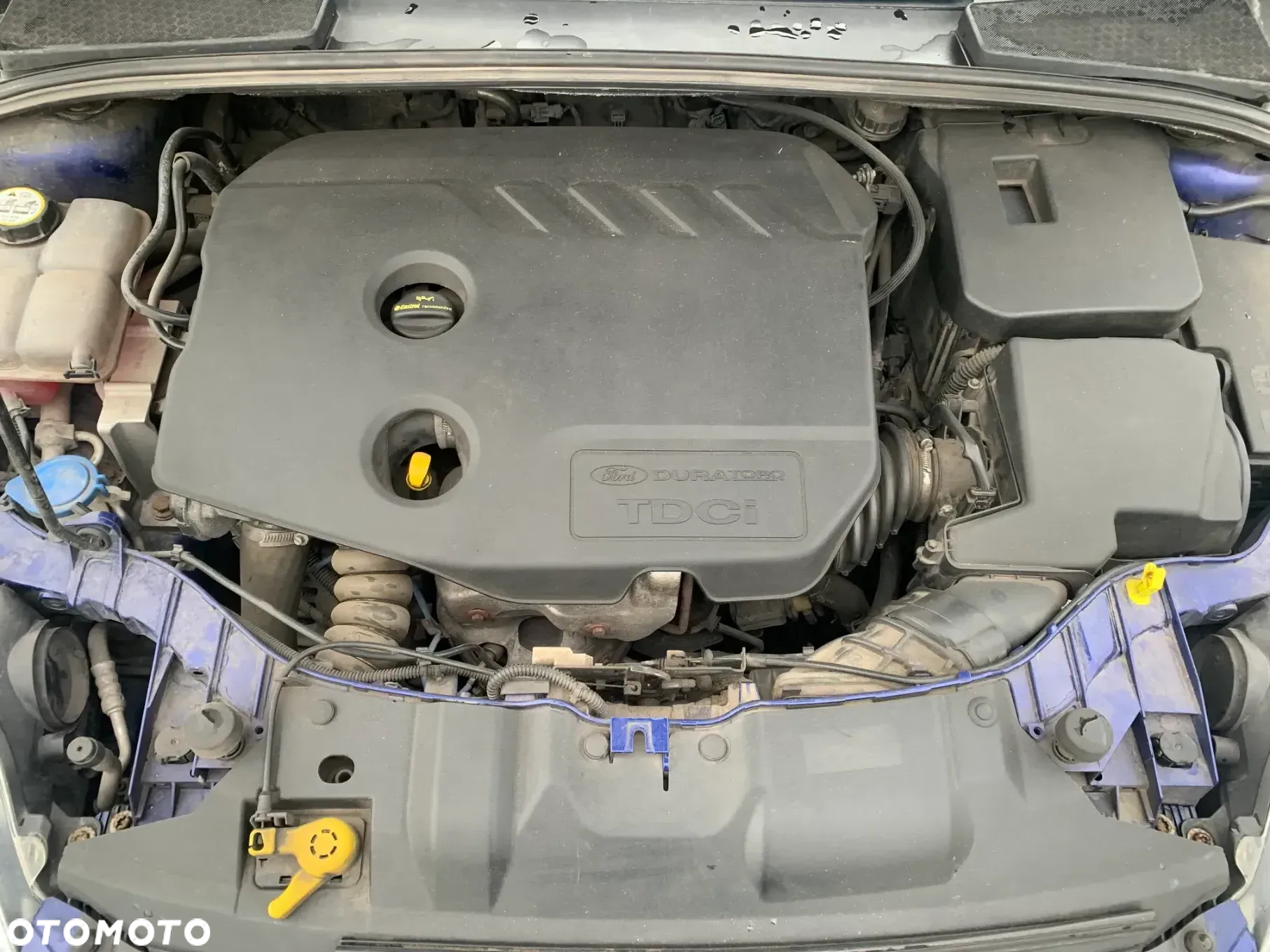 Ford Focus 1.6 TDCi Edition - 8