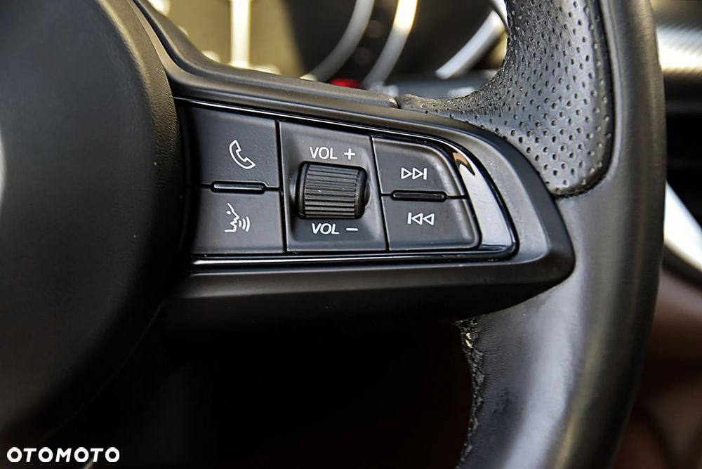 Alfa Romeo Stelvio 2.0 Turbo Veloce Q4 - 37