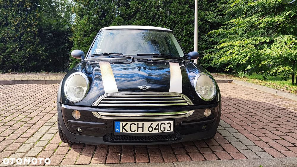 MINI ONE salt - 1