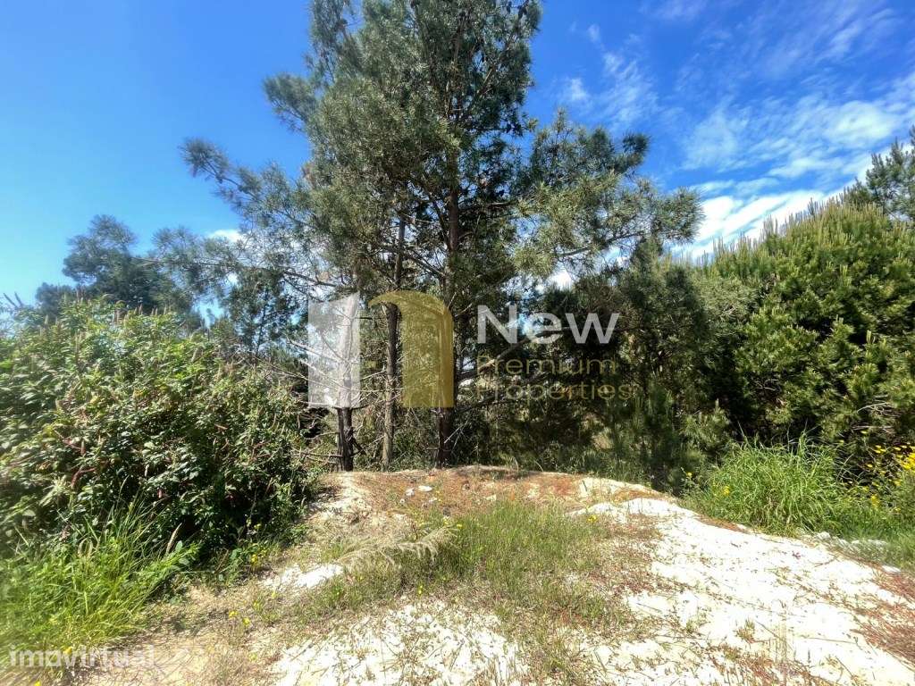Lote de Terreno com 353,8 m2 na Lagoa de Albufeira. - Grande imagem: 2/17