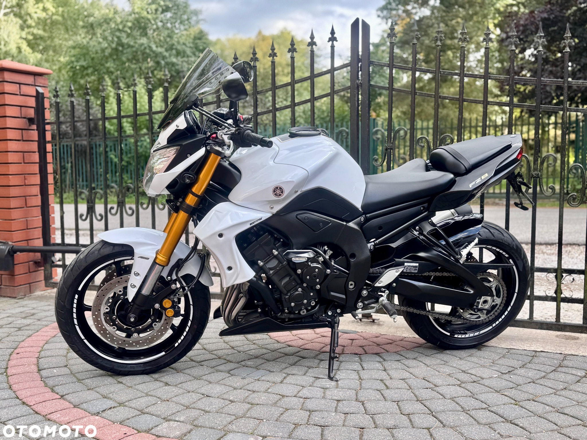 Yamaha FZ8 - 6