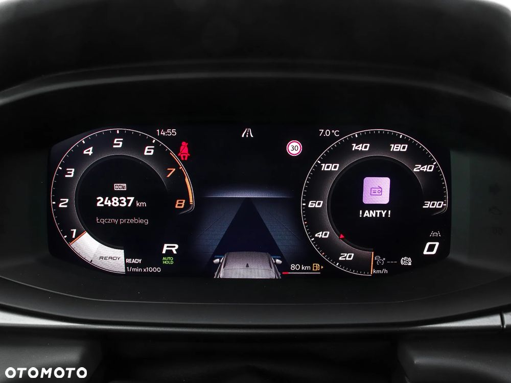 Cupra Terramar - 19