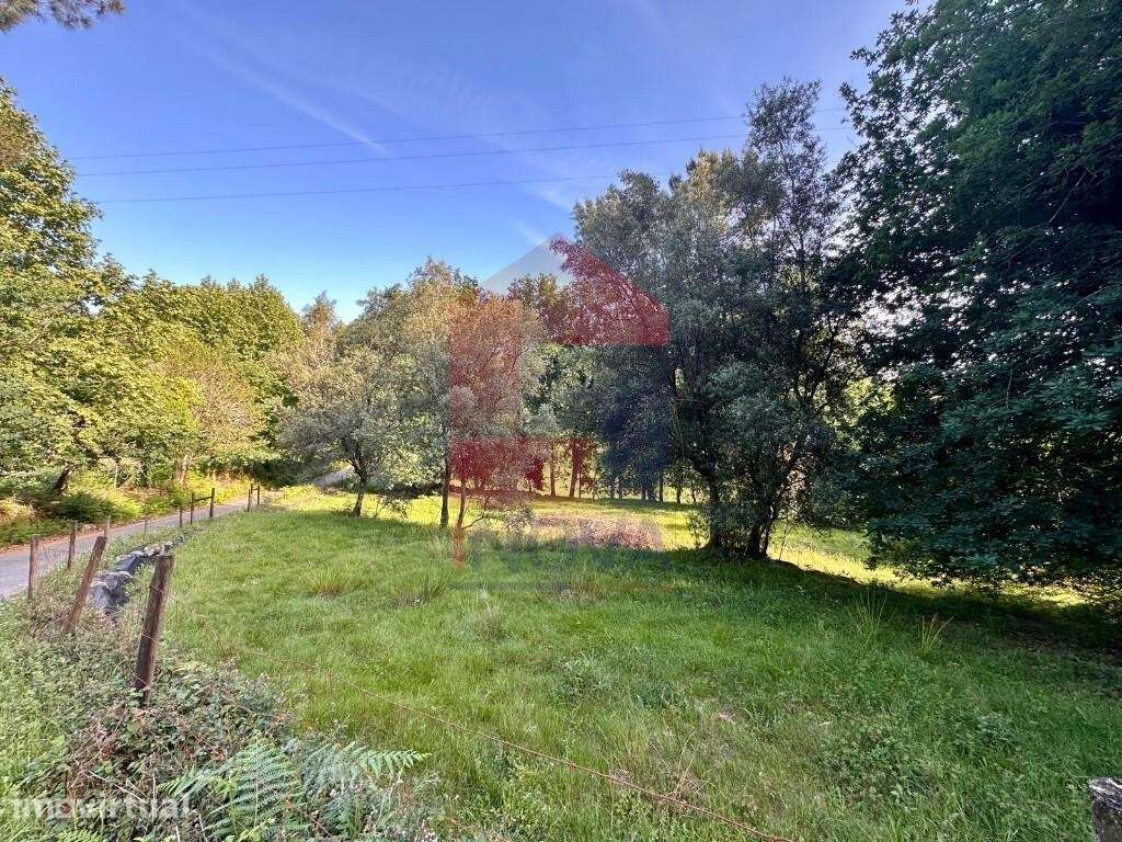 Terreno Agrícola, Oriz Santa Marinha - Grande imagem: 2/24