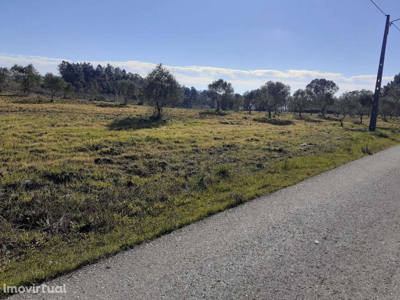 Terreno Rústico em Tomar - Grande imagem: 5/11