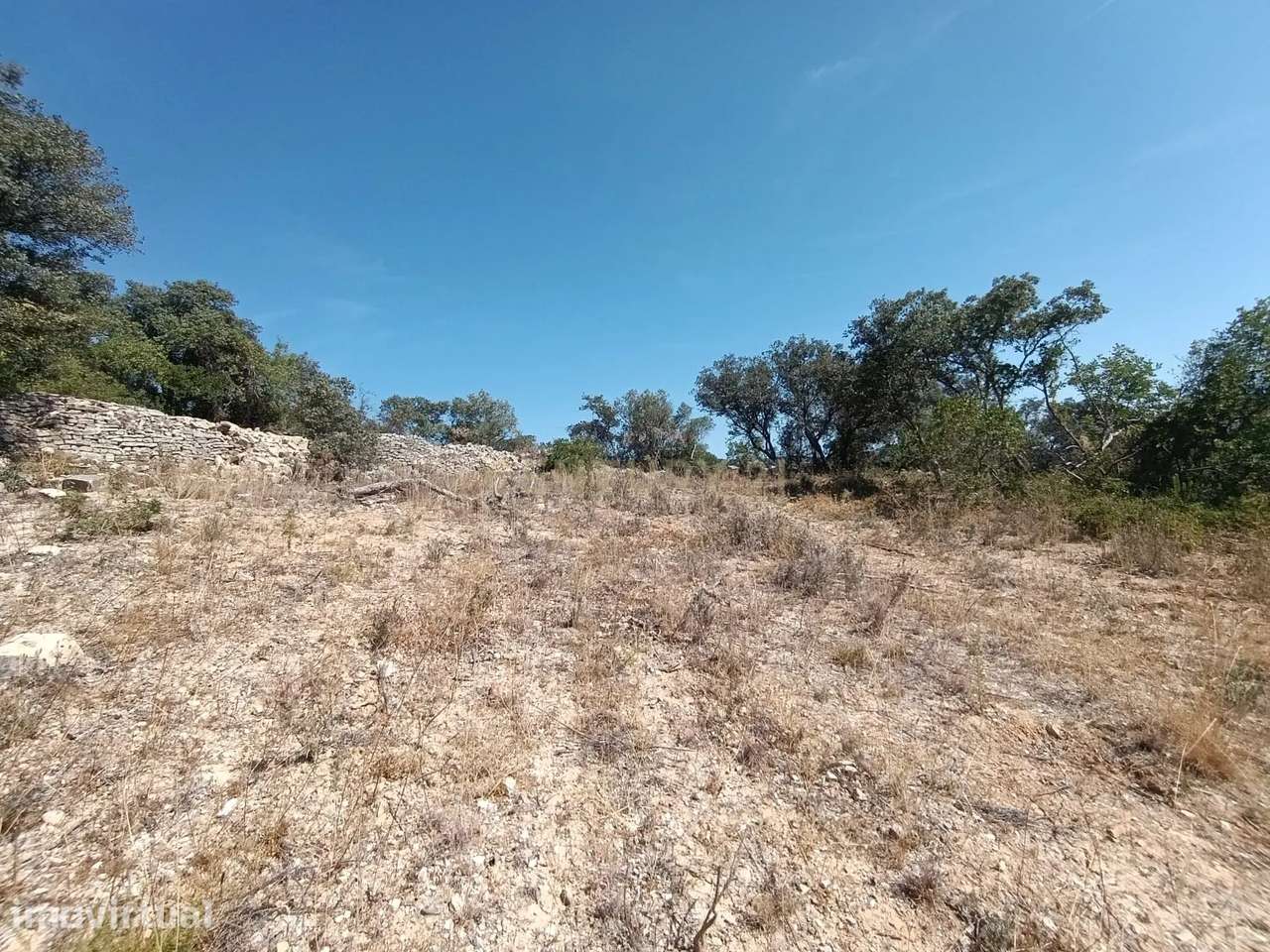 Terreno Rústico Plano – Natureza e Tranquilidade - Grande imagem: 5/6